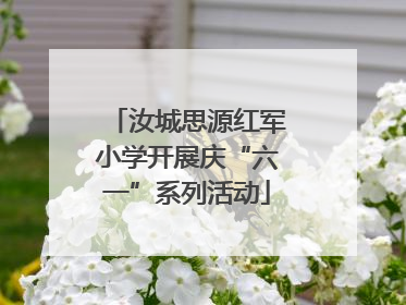汝城思源红军小学开展庆“六一”系列活动