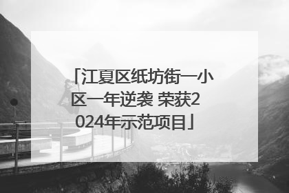 江夏区纸坊街一小区一年逆袭 荣获2024年示范项目
