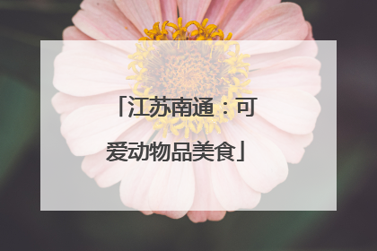 江苏南通：可爱动物品美食