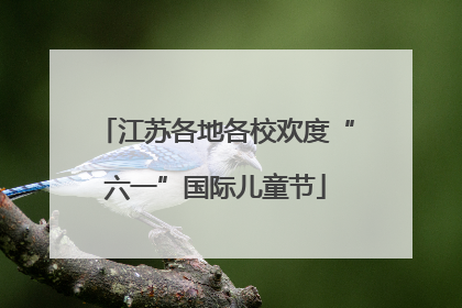 江苏各地各校欢度“六一”国际儿童节