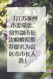 江苏泰州市委常委、常务副市长沈峻峰拟推荐提名为设区市市长人选