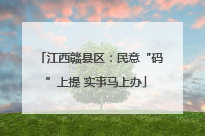 江西赣县区：民意“码”上提 实事马上办