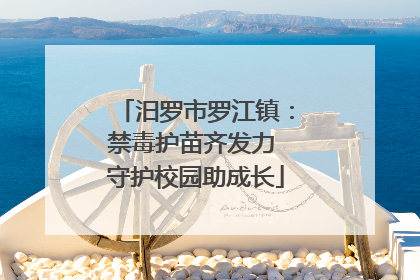 汨罗市罗江镇：禁毒护苗齐发力 守护校园助成长