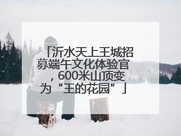 沂水天上王城招募端午文化体验官，600米山顶变为“王的花园”