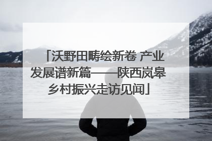 沃野田畴绘新卷 产业发展谱新篇——陕西岚皋乡村振兴走访见闻