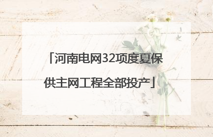 河南电网32项度夏保供主网工程全部投产