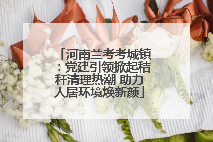 河南兰考考城镇：党建引领掀起秸秆清理热潮 助力人居环境焕新颜