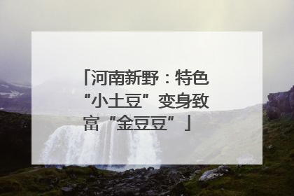 河南新野：特色“小土豆”变身致富“金豆豆”