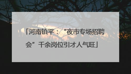 河南镇平：“夜市专场招聘会”千余岗位引才人气旺