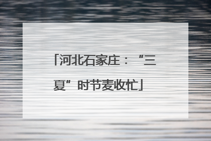 河北石家庄：“三夏”时节麦收忙