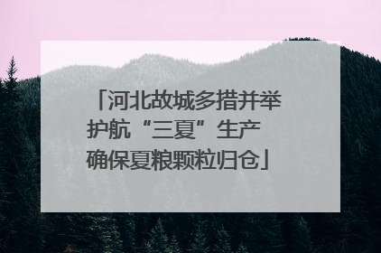 河北故城多措并举护航“三夏”生产 确保夏粮颗粒归仓