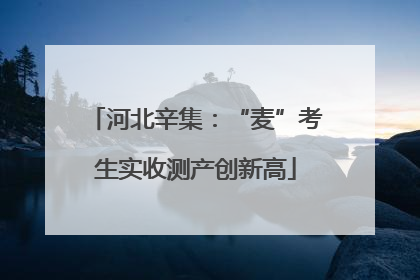 河北辛集：“麦”考生实收测产创新高