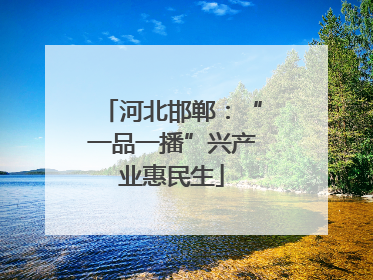河北邯郸：“一品一播”兴产业惠民生