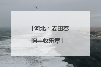 河北：麦田奏响丰收乐章