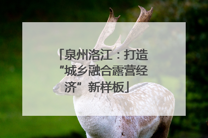 泉州洛江：打造“城乡融合露营经济”新样板