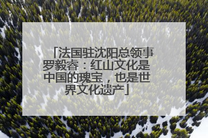 法国驻沈阳总领事罗毅睿：红山文化是中国的瑰宝，也是世界文化遗产