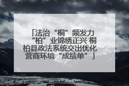 法治“桐”频发力 “柏”业锦绣正兴 桐柏县政法系统交出优化营商环境“成绩单”