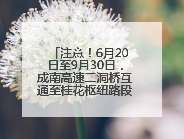 注意！6月20日至9月30日，成南高速二洞桥互通至桂花枢纽路段交通管制