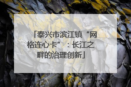 泰兴市滨江镇“网格连心卡”：长江之畔的治理创新