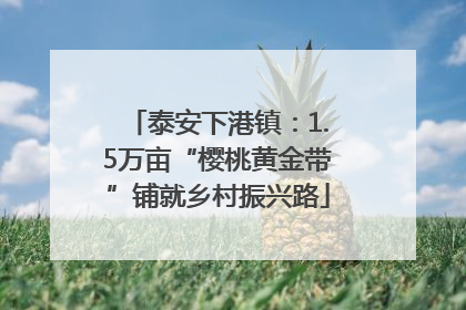 泰安下港镇：1.5万亩“樱桃黄金带”铺就乡村振兴路
