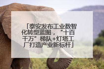 泰安发布工业数智化转型蓝图，“十百千万”梯队+灯塔工厂打造产业新标杆