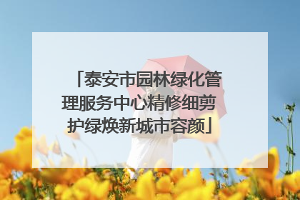 泰安市园林绿化管理服务中心精修细剪护绿焕新城市容颜
