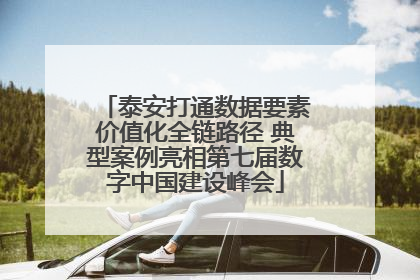 泰安打通数据要素价值化全链路径 典型案例亮相第七届数字中国建设峰会