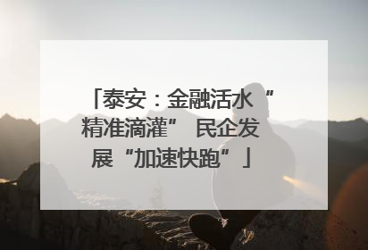 泰安：金融活水“精准滴灌” 民企发展“加速快跑”