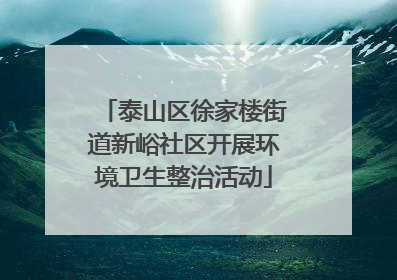 泰山区徐家楼街道新峪社区开展环境卫生整治活动