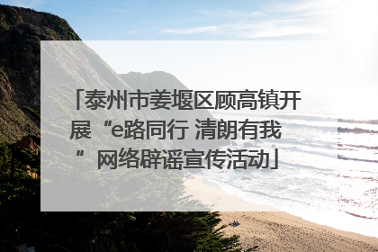 泰州市姜堰区顾高镇开展“e路同行 清朗有我”网络辟谣宣传活动
