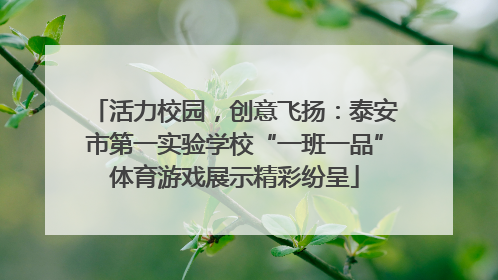 活力校园，创意飞扬：泰安市第一实验学校“一班一品”体育游戏展示精彩纷呈