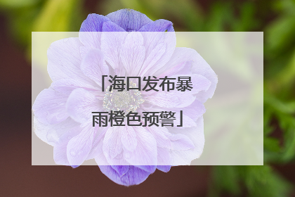 海口发布暴雨橙色预警