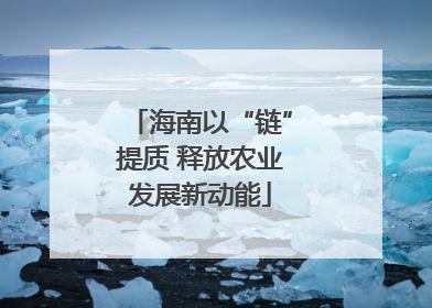 海南以“链”提质 释放农业发展新动能