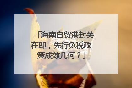 海南自贸港封关在即，先行免税政策成效几何？