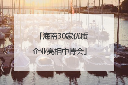 海南30家优质企业亮相中博会
