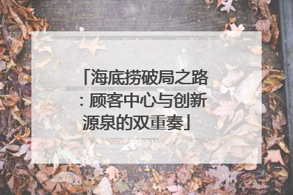 海底捞破局之路：顾客中心与创新源泉的双重奏