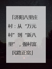 济阳八里庄村：从“万元村”到“新八里”，强村富民路正宽