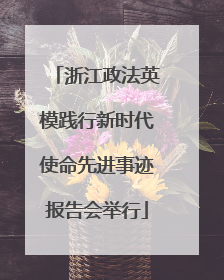 浙江政法英模践行新时代使命先进事迹报告会举行