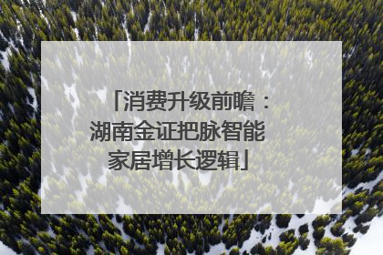 消费升级前瞻：湖南金证把脉智能家居增长逻辑