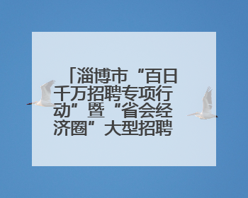 淄博市“百日千万招聘专项行动”暨“省会经济圈”大型招聘会举办