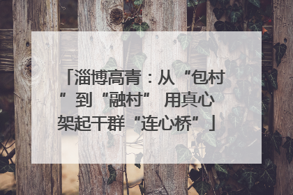 淄博高青：从“包村”到“融村” 用真心架起干群“连心桥”