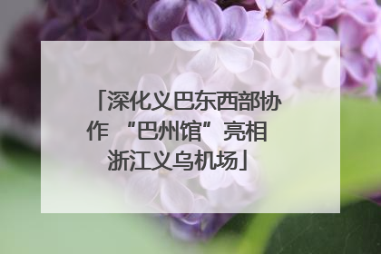 深化义巴东西部协作 “巴州馆”亮相浙江义乌机场