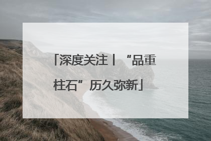深度关注丨“品重柱石”历久弥新