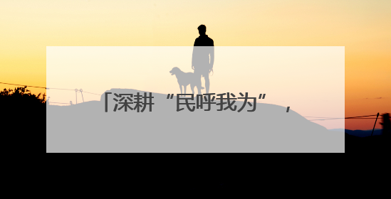 深耕“民呼我为”，盘活闲置空间，打造完整社区“翠苑模式”