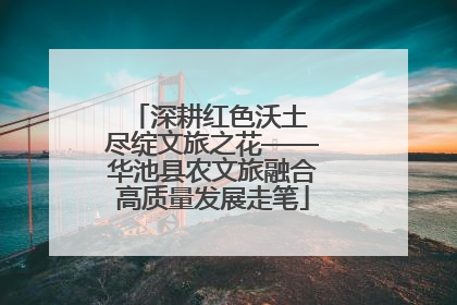 深耕红色沃土 尽绽文旅之花——华池县农文旅融合高质量发展走笔