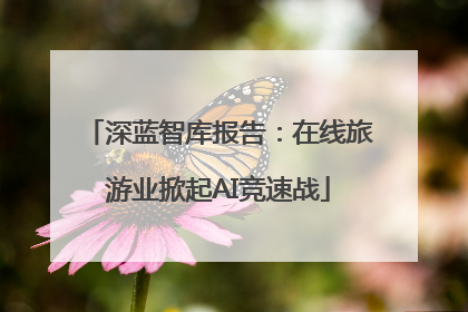 深蓝智库报告：在线旅游业掀起AI竞速战
