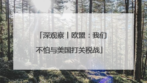 深观察丨欧盟：我们不怕与美国打关税战