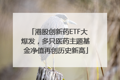 港股创新药ETF大爆发，多只医药主题基金净值再创历史新高