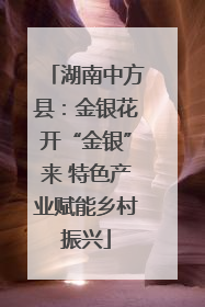 湖南中方县：金银花开“金银”来 特色产业赋能乡村振兴