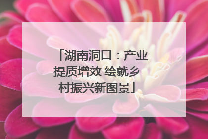 湖南洞口：产业提质增效 绘就乡村振兴新图景